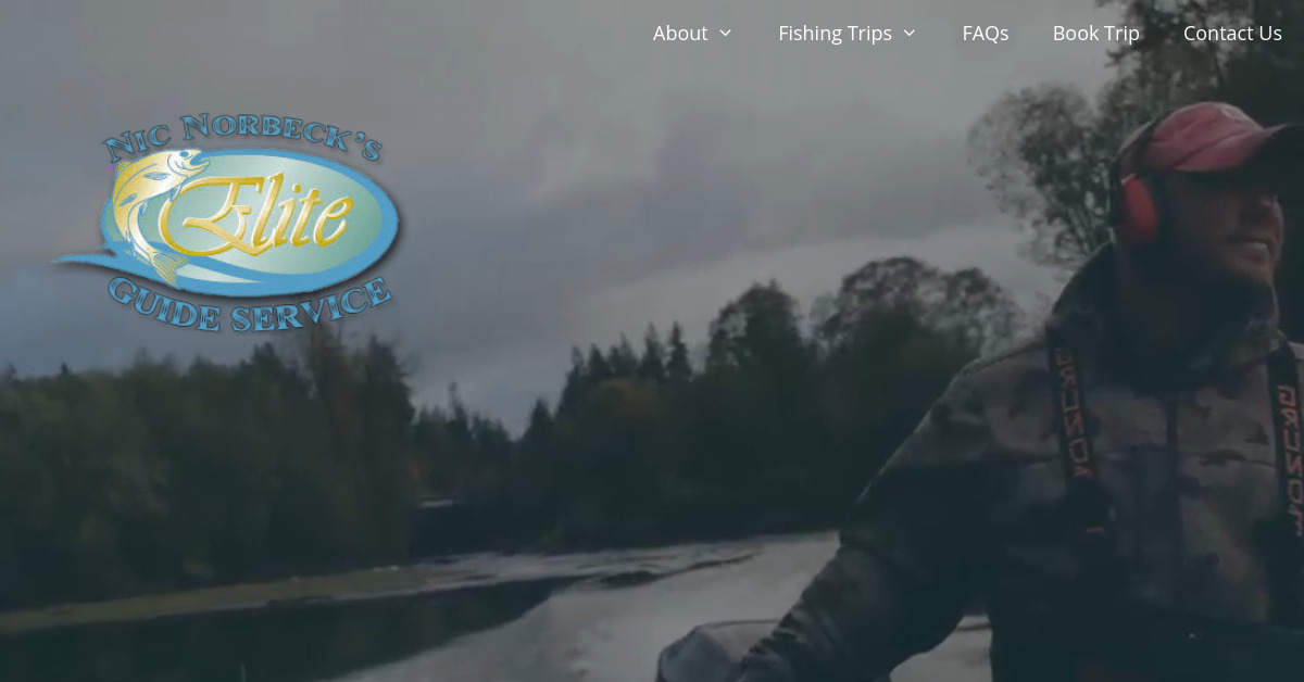 Screenshot of http://www.eliteguideservice.com/