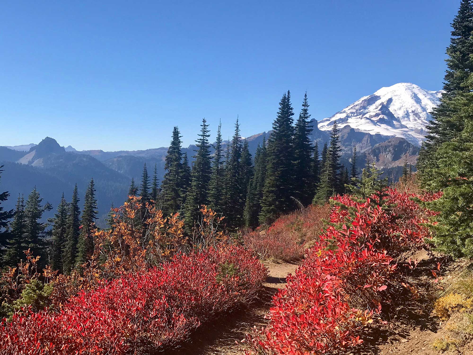 What is Near Adytum Sanctuary to Get a Bit of Nature In While There?