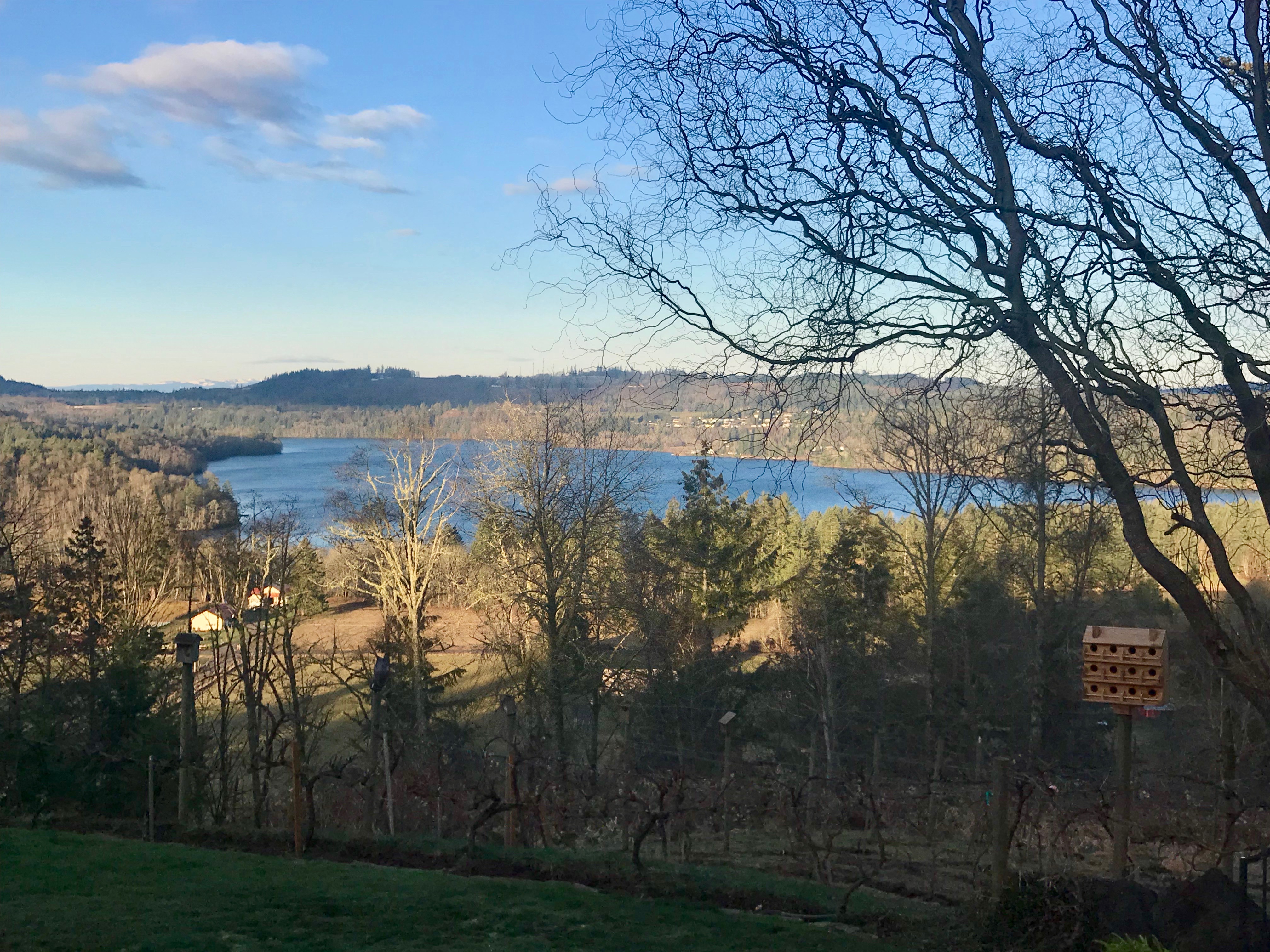 What Greatness Is Waiting To Emerge in You?